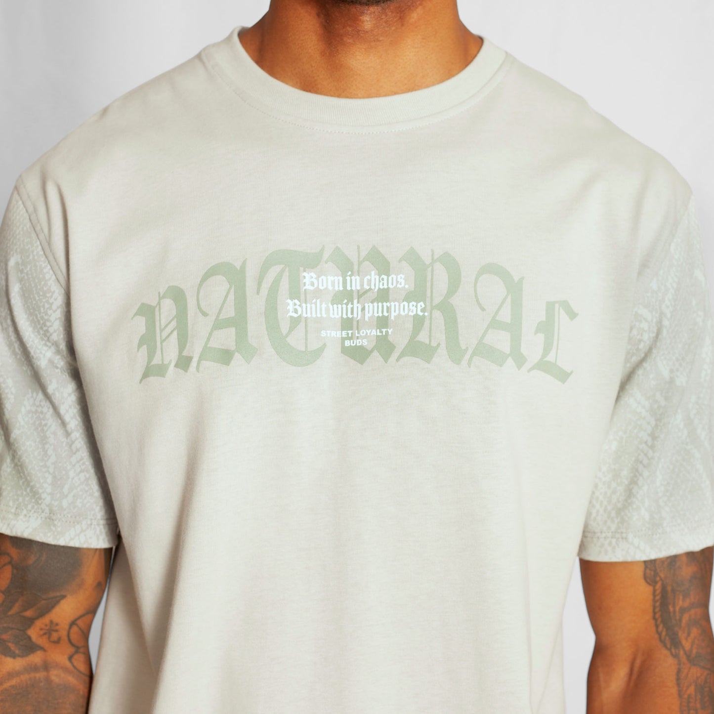 Camiseta Regular Hombre Verde Claro Buds