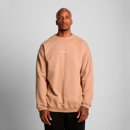 Buzo Crewneck Beige Tela Alto Gramaje 400G