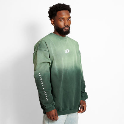 Buzo Crewneck Verde Degradé Tela Alto Gramaje 400G